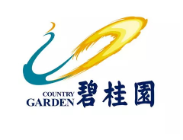 麻章碧桂园地产